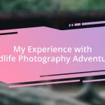 My Experience with Wildlife Photography Adventures