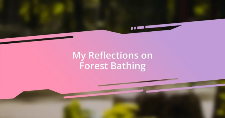 My Reflections on Forest Bathing