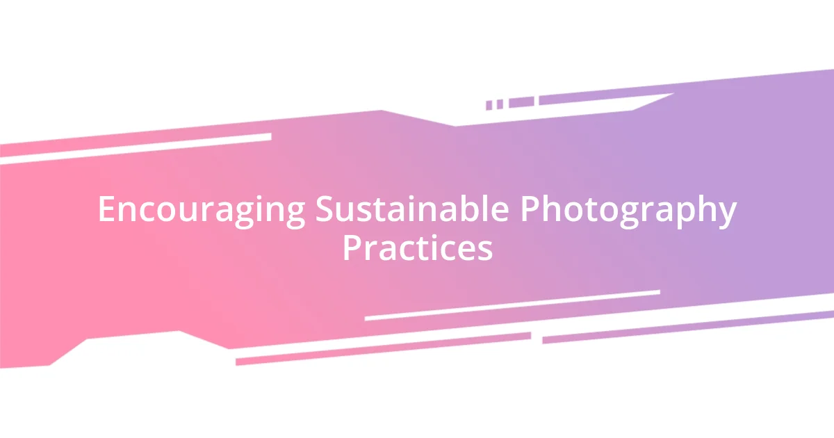 Encouraging Sustainable Photography Practices